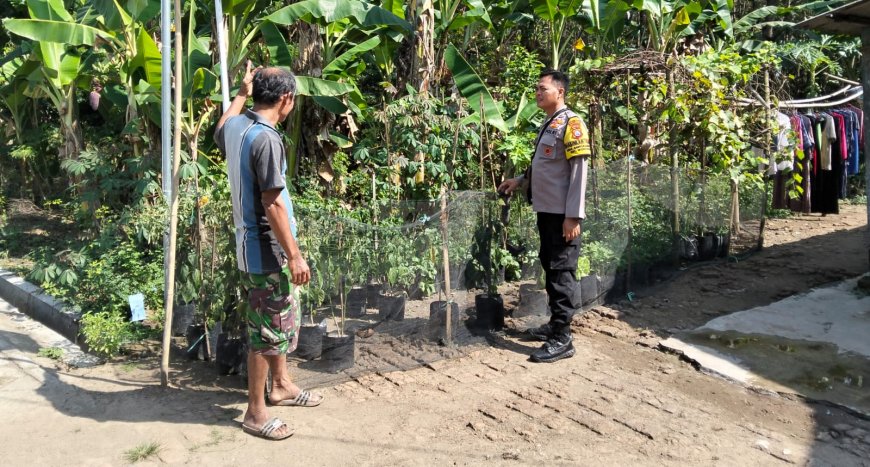 Pekarangan Produktif Jadi Solusi Dukung Ketahanan Pangan di Banyukambang